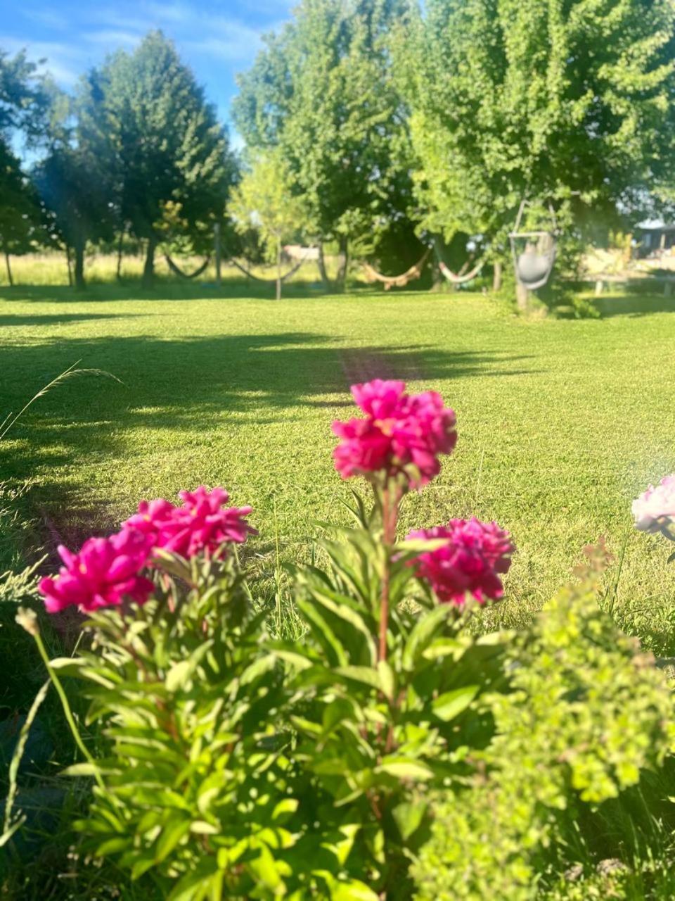 Hosteria La Portada Trevelín Dış mekan fotoğraf